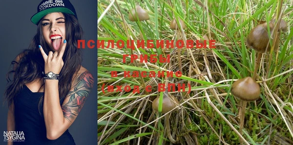 2c-b Сосновка