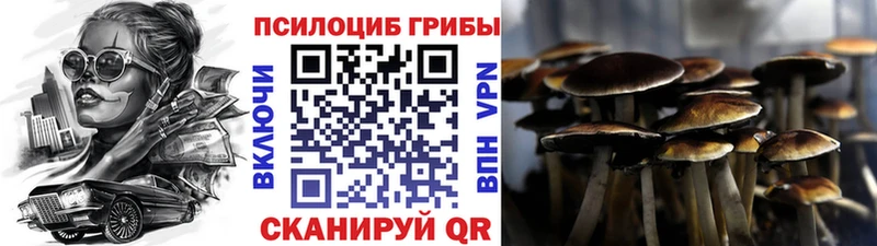 Купить закладки  Северская  Псилоцибиновые грибы GOLDEN TEACHER 